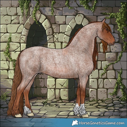 Horse Color:Red Roan 