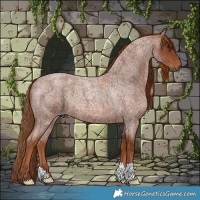 Horse Color:Red Roan