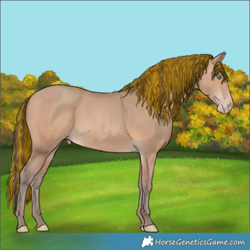 Horse Color:Painted Amber Champagne 