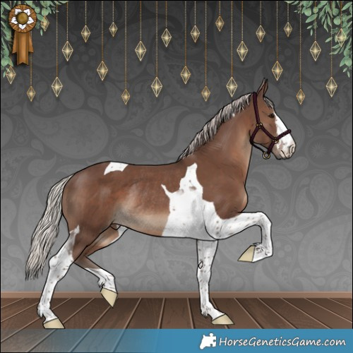 Horse Color:Silver Black Tobiano Rabicano 