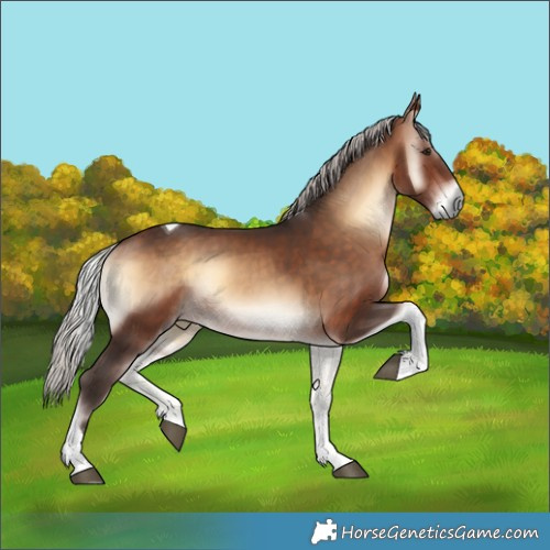 Horse Color:Silver Brown Onyx Tobiano Rabicano 