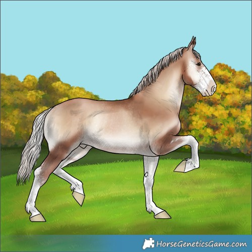 Horse Color:Silver Blue Onyx Pearl Sabino Rabicano 