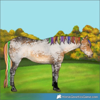 Horse Color:Void Painted Silver Buckskin Ice Tobiano 