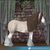 Horse Color:Classic Champagne Dun Sabino Splash