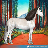 Horse Color:Sable Champagne Dun Sabino Splash 