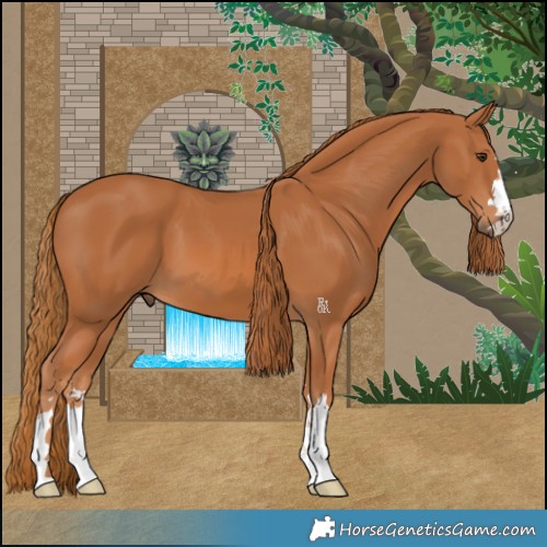 Horse Color:Chestnut 