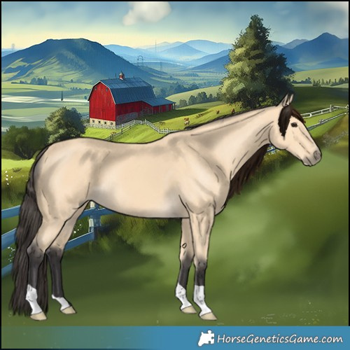 Horse Color:Buckskin 