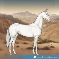 Horse Color:Cremello Roan Dun 
