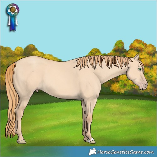 Horse Color:Gold Champagne Dun 
