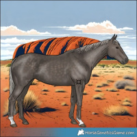 Horse Color:Silver Black Tobiano 