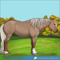 Horse Color:Silver Grullo 