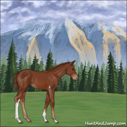 Horse Color:Chestnut Tobiano 