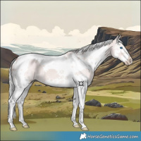 Horse Color:Platinum Silver Bay Dun Splash Tobiano 