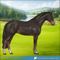 Horse Color:Liver Chestnut