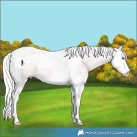Horse Color:Silver Smoky Creme Splash Tobiano 