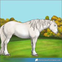 Horse Color:Chocolate Palomino Pearl Dun Sabino Rabicano 