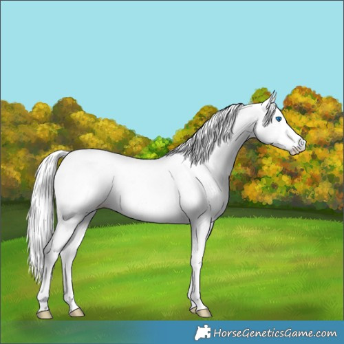 Horse Color:White Spotted Cremello Dun Splash Tobiano 
