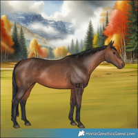 Horse Color:Brown 
