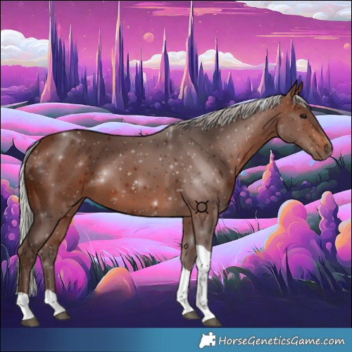 Horse Color:Silver Brown Tobiano 