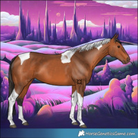 Horse Color:Bay Tobiano 