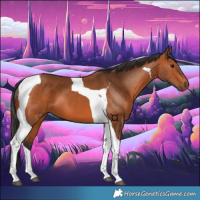Horse Color:Bay Tobiano 
