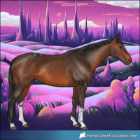 Horse Color:Brown Tobiano 