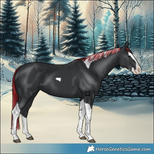Horse Color:Painted Black Splash Tobiano 