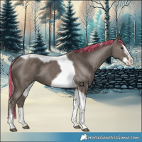 Horse Color:Painted Silver Black Splash Tobiano 