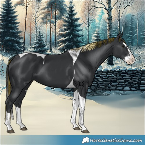 Horse Color:Painted Black Splash Tobiano 