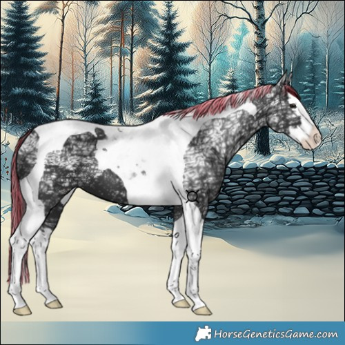 Horse Color:Painted Black Ice Splash Tobiano 