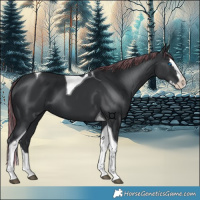 Horse Color:Painted Black Splash Tobiano 