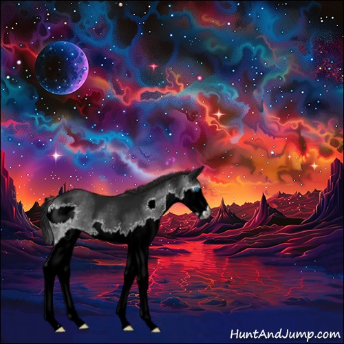 Horse Color:Gray Black Splash 