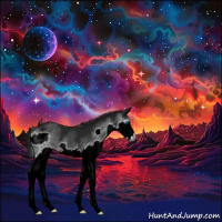 Horse Color:Gray Black Splash