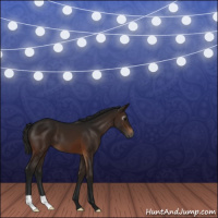 Horse Color:Gray Bay