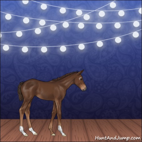 Horse Color:Gray Chestnut 