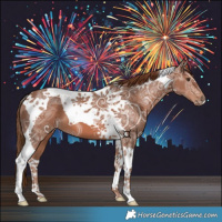 Horse Color:Chestnut Ice Tobiano 
