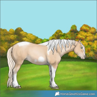 Horse Color:Palomino Pearl Tobiano Frame 
