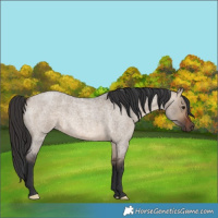 Horse Color:Brown Roan Dun 