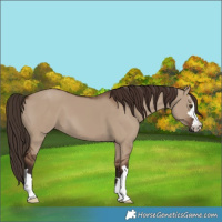 Horse Color:Liver Red Dun 