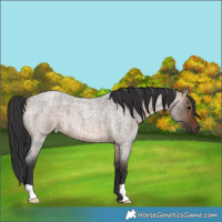 Horse Color:Brown Roan Dun 