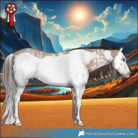 Horse Color:Classic Champagne Sabino Splash Frame Rabicano