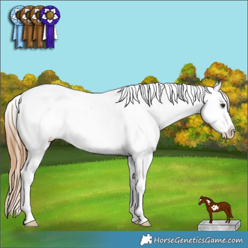 Horse Color:Red Dun Sabino Splash Tobiano Frame Appaloosa Rabicano 