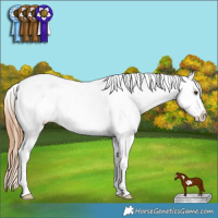 Horse Color:Red Dun Sabino Splash Tobiano Frame Varnish Rabicano 