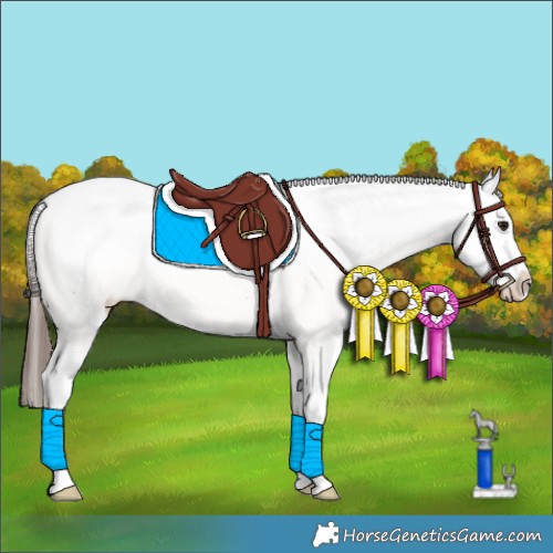 Horse Color:White Spotted Bay Dun Appaloosa 