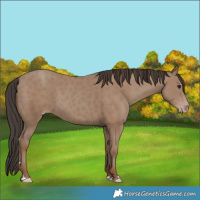 Horse Color:Classic Champagne 
