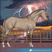 Horse Color:Liver Red Dun 