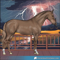 Horse Color:Liver Red Dun 