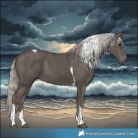 Horse Color:Silver Black Tobiano