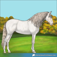 Horse Color:Smoky Creme Roan 