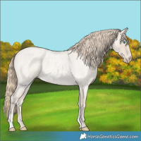 Horse Color:Smoky Creme Roan